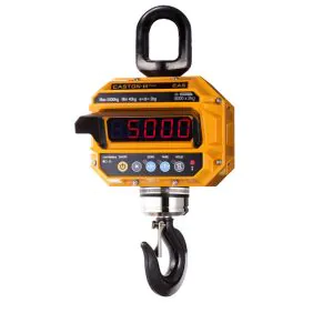 Crane Scale